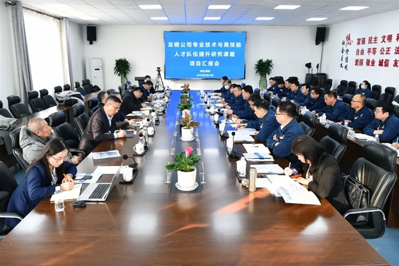 公司召開專業(yè)技術(shù)與高技能人才隊(duì)伍提升課題研究項(xiàng)目匯報(bào)會(huì)